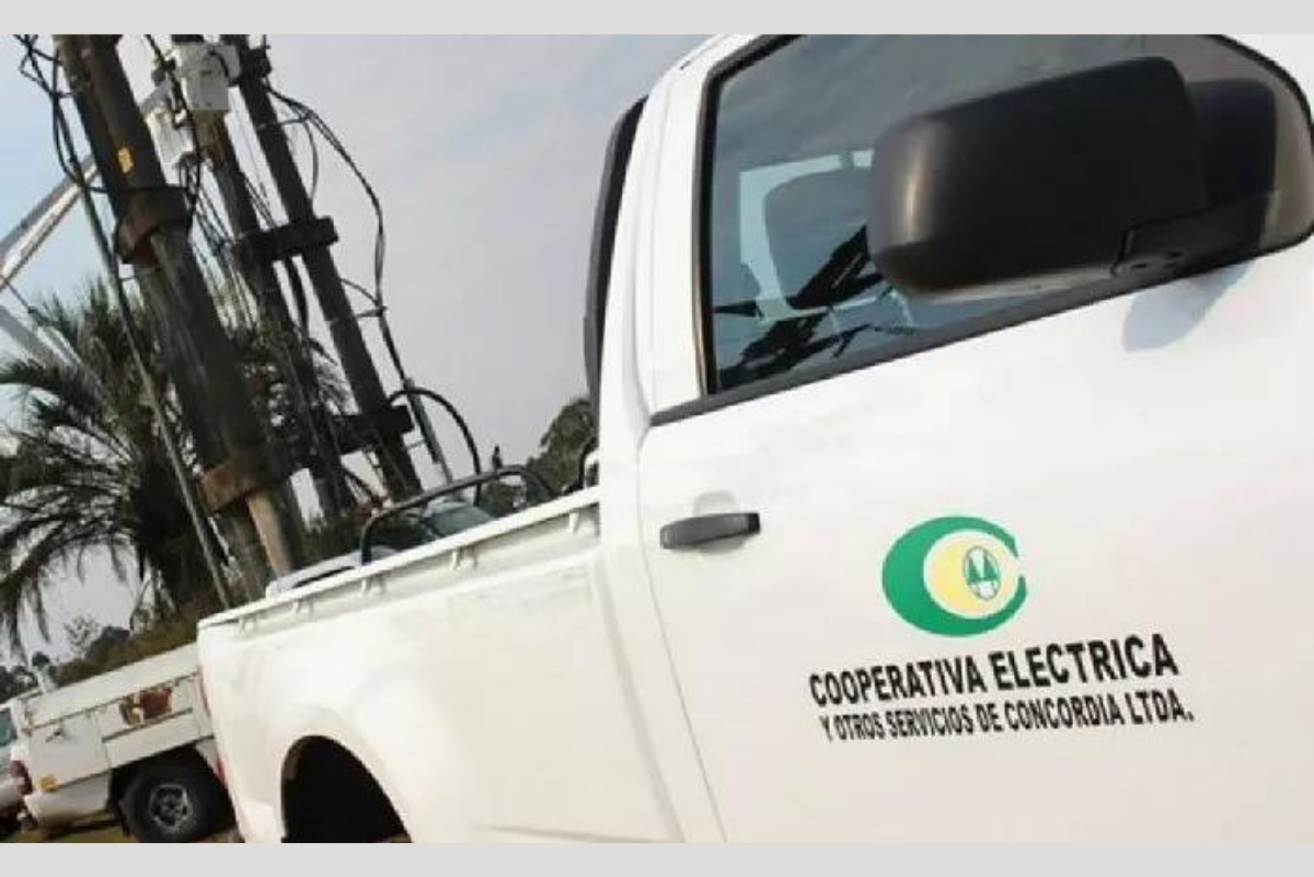 Robo de energía: La cooperativa de Concordia detectó más de 100 medidores adulterados