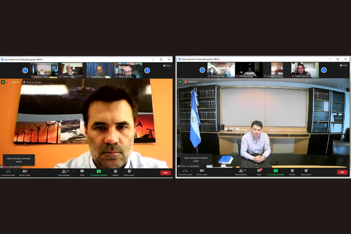 Darío Martínez conectado con FACE: “Tenemos que sanear el sistema eléctrico”